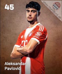 Pavlovic, Aleksandar