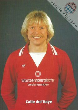 Del Haye, Karl