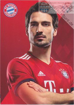 Hummels, Mats