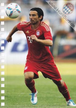 Pranjic, Danijel