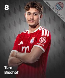 Bischof, Tom