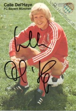 Del Haye, Karl