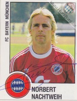 Nachtweih, Norbert