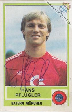Pflügler, Hans