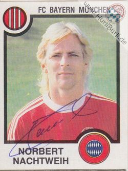 Nachtweih, Norbert