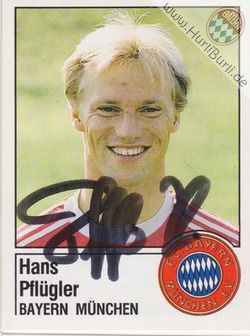 Pflügler, Hans