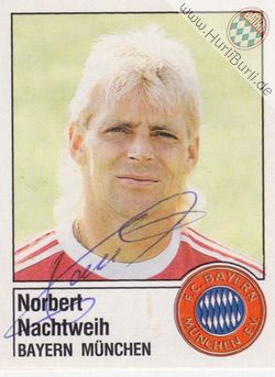Nachtweih, Norbert