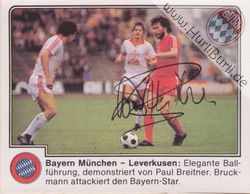 Breitner, Paul