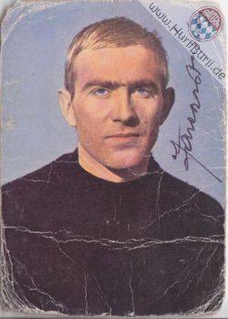 Fazekas, Arpad