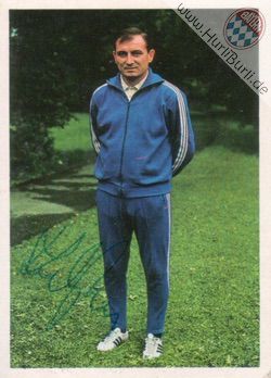 Zebec, Branko