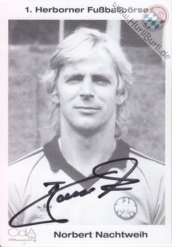 Nachtweih, Norbert