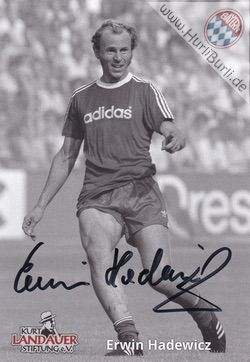 Hadewicz, Erwin